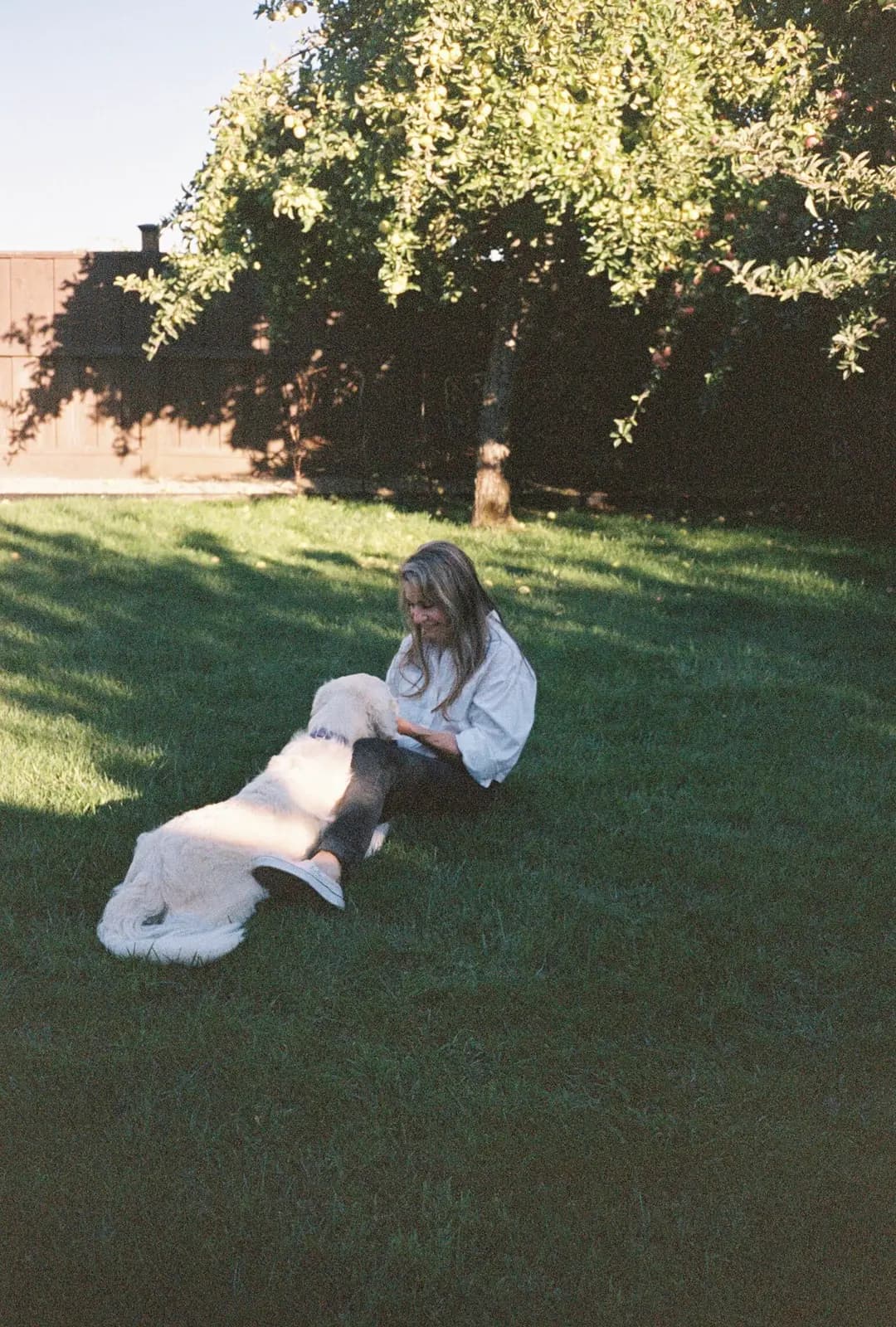 A dog reaching up to play under an apple tree