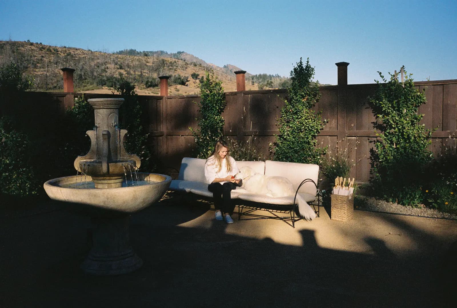 A dog relaxing on an outdoor couch by a fountain