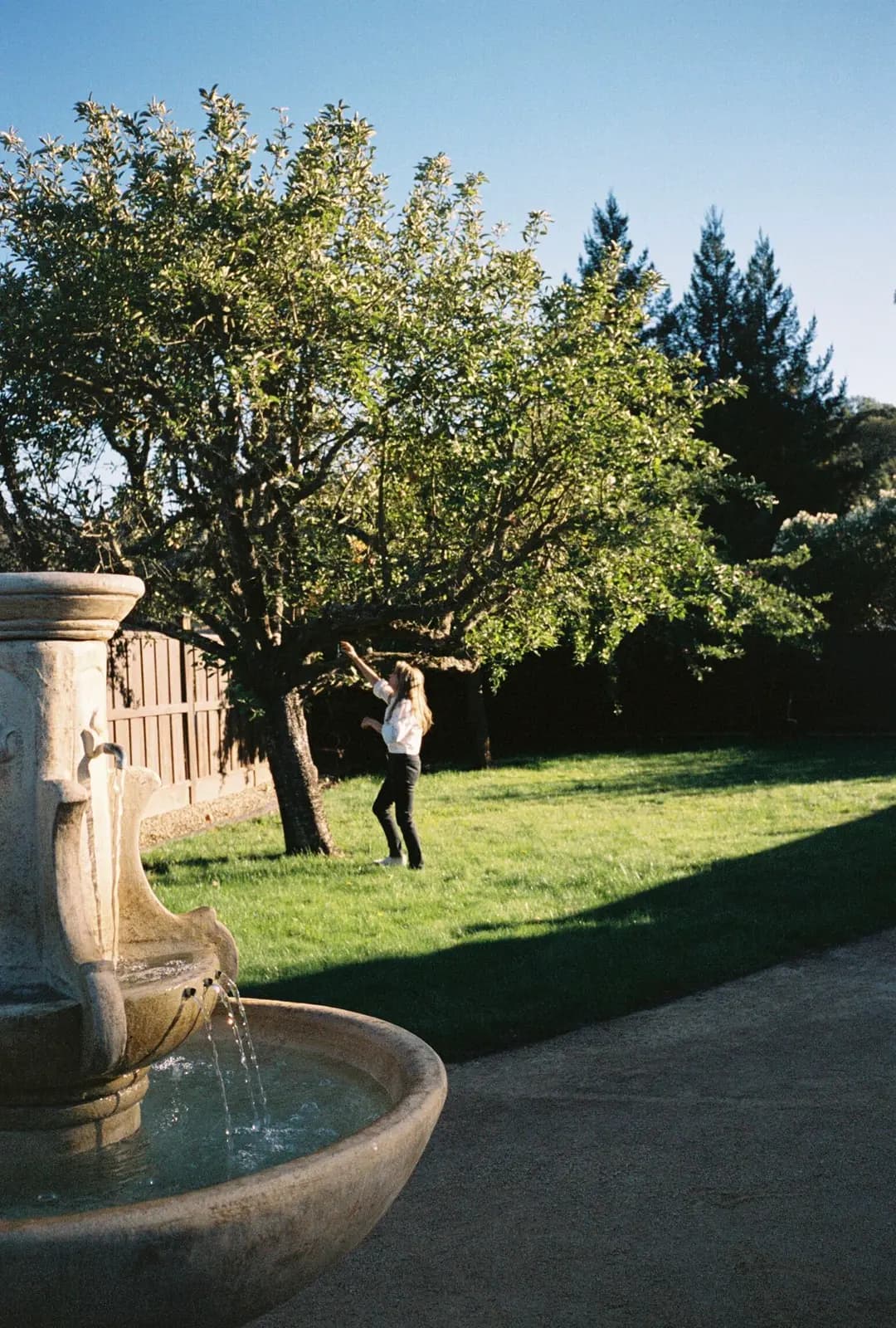 A woman reaching into an apple tree by a stone fountain