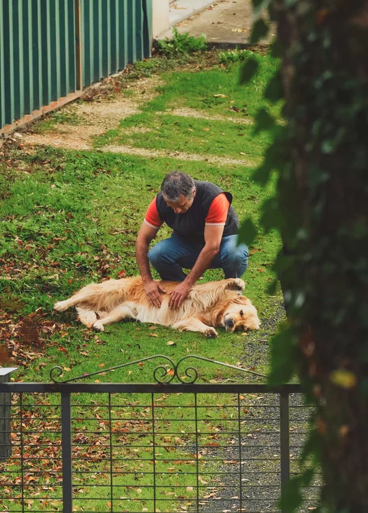A dog receiving a wellness massage